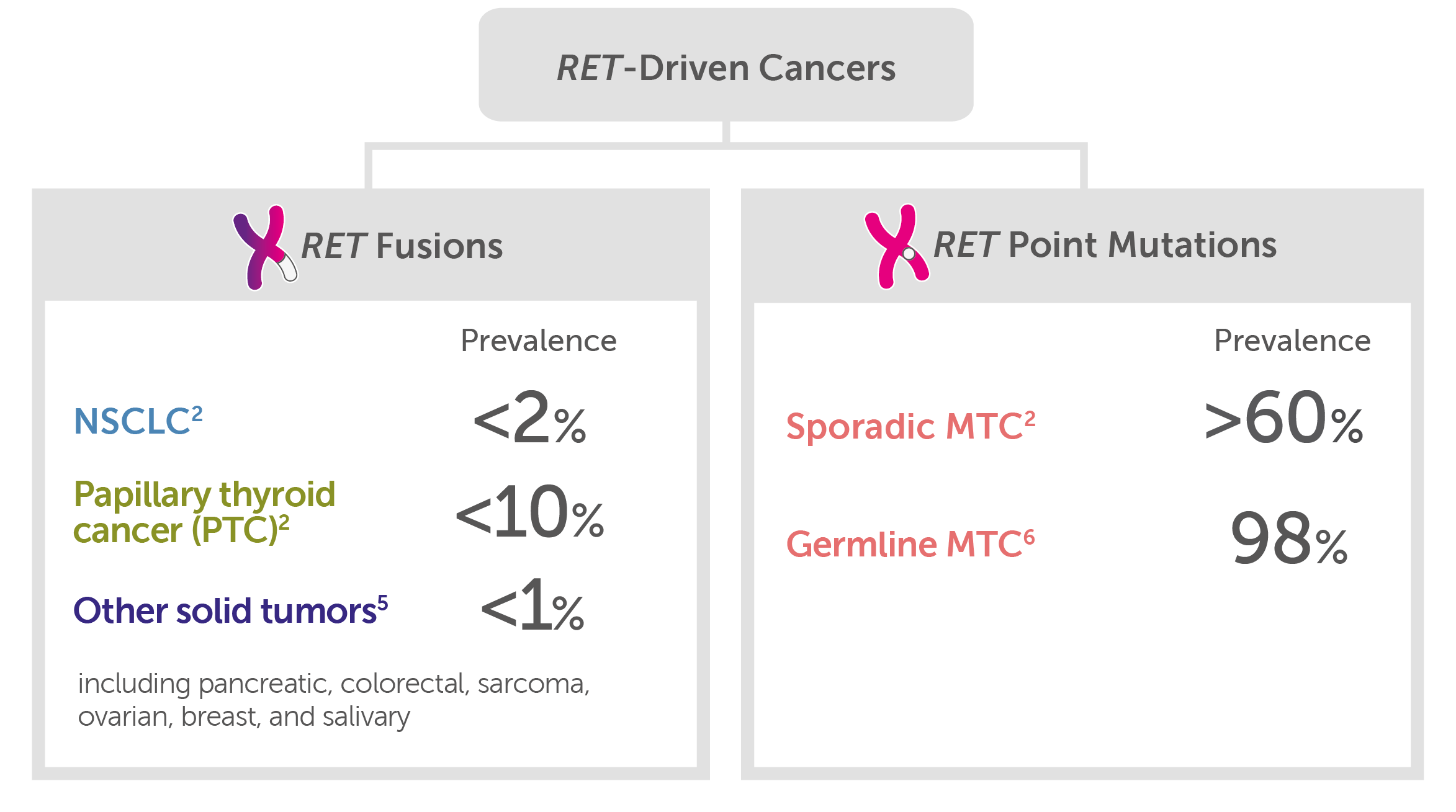 Role of RET for RET-driven cancers such as RET fusions and RET point mutations